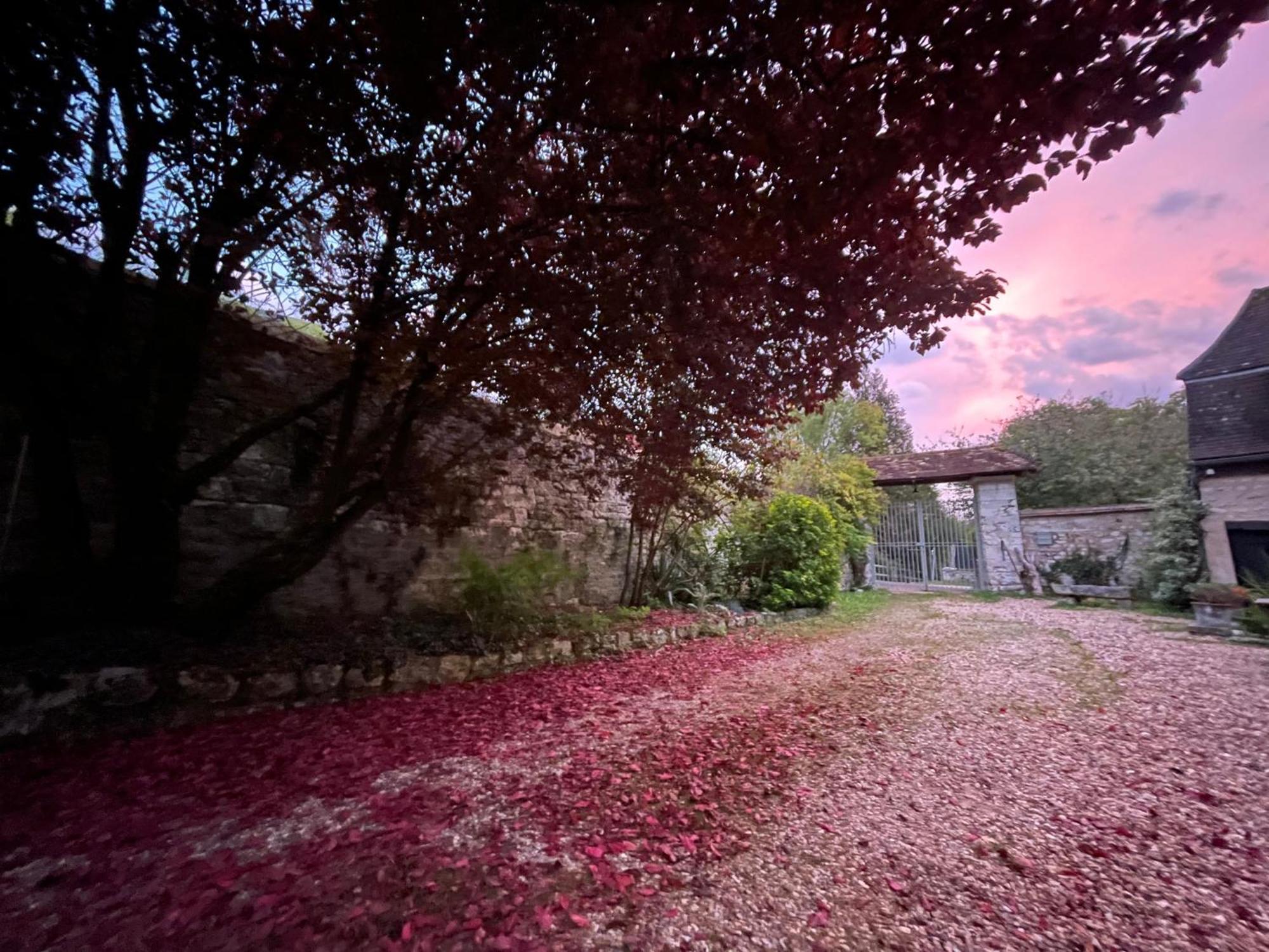 Evergreen Guesthouse Vernon  Exterior photo